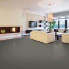 Shaw Floors SFA Tweed Comfort II First Class