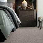Shaw Floors Foundations Take The Floor Accent Blue Cold Springs