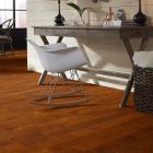 Shaw Floors Shaw Hardwoods Brooksville Burnside