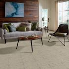 Shaw Floors Caress By Shaw Rustique Vibe Lg Clay