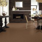 Shaw Floors SFA Drexel Hill II 12' Desert Sunrise