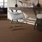 Shaw Floors Roll Special Xv304 Desert Sunrise