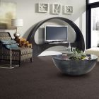 Shaw Floors Caress By Shaw Resort Chic Lg Burma Brown