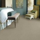 Shaw Floors Simply The Best Momentum I Plaza