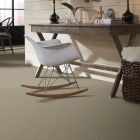 Shaw Floors Simply The Best Momentum I Plaza