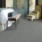 Shaw Floors Simply The Best Attainable Arctic Shadow
