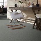Shaw Floors Simply The Best Attainable Arctic Shadow