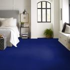 Philadelphia Commercial Color Accents Electric
