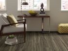 Shaw Floors Nfa HS Dover Plus Costa