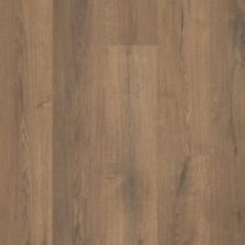 SHAW FAITHFUL COMPANION DAPPLE BROWN