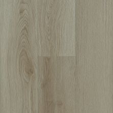 Armstrong Ingenious Plank Washed Sepia 1PA67003