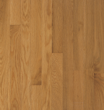 Bruce Waltham Cornsilk C8339