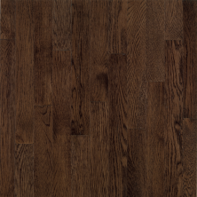 Bruce Dundee Mocha CB1277