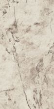 Armstrong Alterna Coronis Marble Morning Dove12x24 Morning Dove D7154461