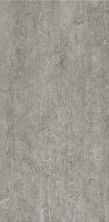 Alterna Enchanted Forest Fog12x24 Armstrong Alterna Enchanted Forest Fog12x24 Forest Fog D7199461