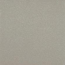American Olean Quarry Naturals® Shadow Gray – Matte 0N4622CHIP