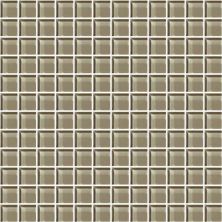 American Olean Color Appeal™ Plaza Taupe 1×1 Mosaic C10511MS1P