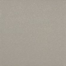 American Olean Quarry Naturals® Shadow Gray – Abrasive 0N4622CHIPA