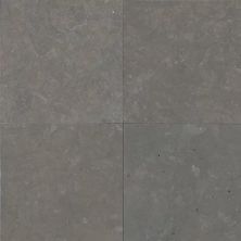 American Olean LIMESTONE Lagos Blue-12×12 LME-12X12-L983