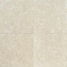 American Olean Marble Bottcno Fiorito-18×18 MAR-18X18-M704
