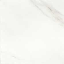 American Olean Mirasol Bianco Carrara-24×24 MIR-24X24-ML70