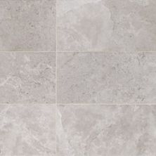 American Olean Rochester Gray-12×24 RCT-12X24-RC02