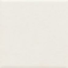 American Olean Unglazed Mosaics Ice White Penny Rounds UNM-PR-0A25
