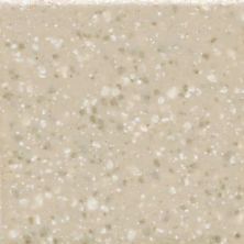 American Olean Unglazed Mosaics Willow Speckle Hexagon UNM-HX-0A94
