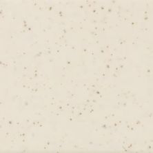 American Olean Unglazed Mosaics Biscuit Speckled Hexagon UNM-HX-0A17