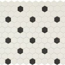 American Olean Unglazed Mosaics Ice White/Black Hexagon UNM-HX-0A61