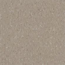 Armstrong Standard Excelon Imperial Texture Diamond 10 Tech Earthstone Greige Z1804031