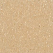 Armstrong Standard Excelon Imperial Texture Camel Beige 51805031