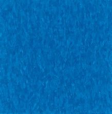 Armstrong Standard Excelon Imperial Texture Caribbean Blue 51821031