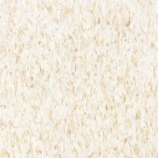 Armstrong Standard Excelon Imperial Texture Fortress White 51839031
