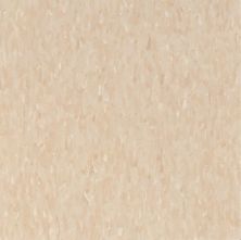Armstrong Standard Excelon Imperial Texture Brushed Sand 51873031