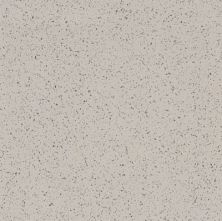 Armstrong Premium Excelon Stonetex Pebble Gray 52122031