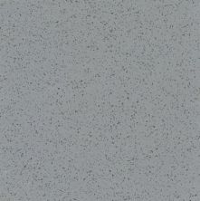 Armstrong Premium Excelon Stonetex Granite Gray 52125031
