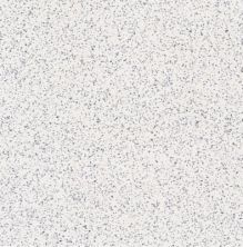 Armstrong Premium Excelon Stonetex Chalk White 52140031