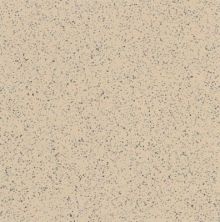 Armstrong Premium Excelon Stonetex Sandstone Tan 52143031