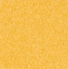 Armstrong Premium Excelon Chromaspin Deep Yellow 54817031