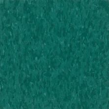 Armstrong Standard Excelon Imperial Texture Tropical Green 57542031