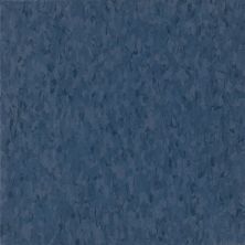 Armstrong Standard Excelon Imperial Texture Victoria Blue 59230031