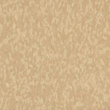 Armstrong Standard Excelon Imperial Texture Honey 59241031