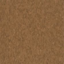 Armstrong Standard Excelon Imperial Texture Patina 59244031