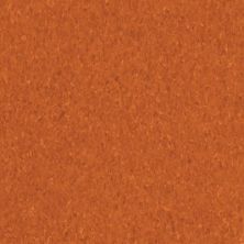 Armstrong Premium Excelon Crown Texture Kumquat Orange 5C231031