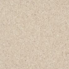 Armstrong Premium Excelon Crown Texture Sandrift White 5C858031