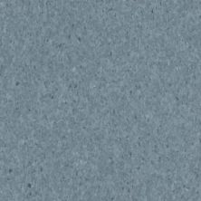 Armstrong Premium Excelon Crown Texture Mid Grayed Blue 5C875031