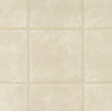 Armstrong Memories Limestone Oyster White 62605401