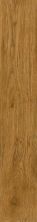 Armstrong Luxe Plank Value Caramel Corn A6785721