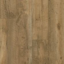 Armstrong Luxe Plank Value Talladega Timber Buckthorn Brown A6796721